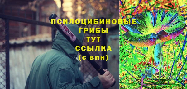 стаф Алексеевка
