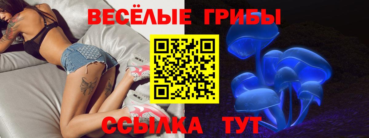 Бийск  Псилоцибиновые грибы MAGIC MUSHROOMS  Вход с VPN  Псилоцибиновые грибы Magic Shrooms 
